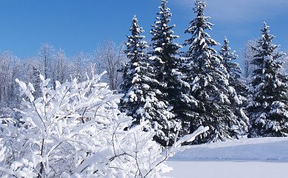 Foto Schneelandschaft