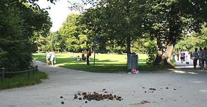 Foto Sommer in München