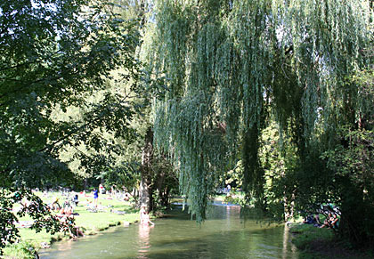 Foto Sommer in München