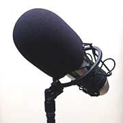 Mikrophon, Radio