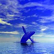 Wal im Meer